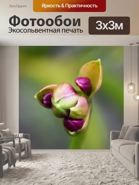 Фотообои Бутон