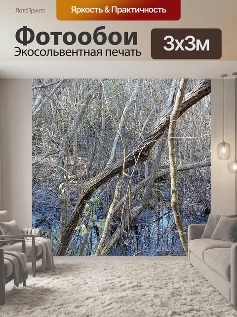 Фотообои Болотные деревья