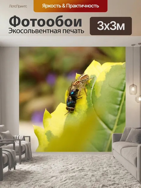 Фотообои Картинки
