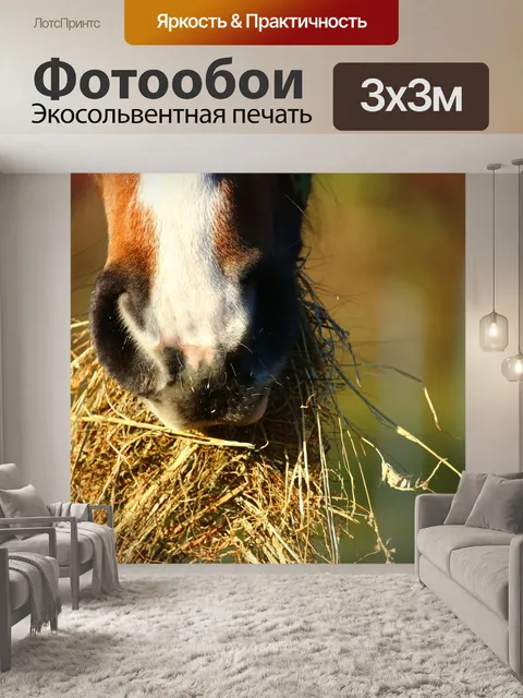 Фотообои Лошадь