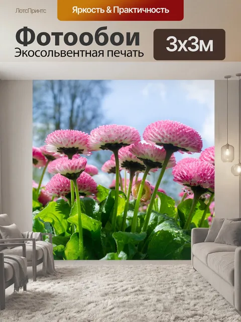 Фотообои Цветы