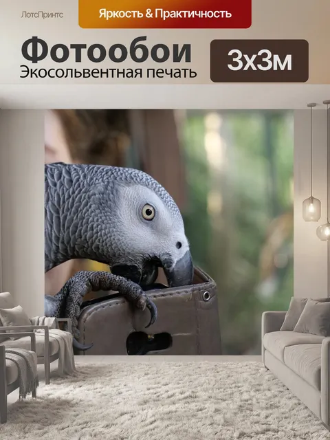 Фотообои Птица