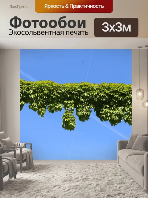 Фотообои Плющ