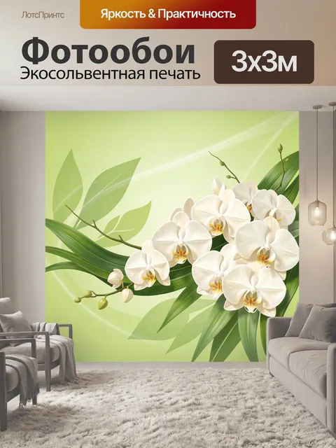 Фотообои Белые орхидеи на зелёном фоне