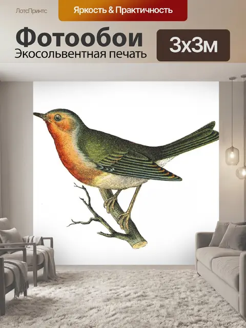 Фотообои Иллюстрация винтажного искусства птиц