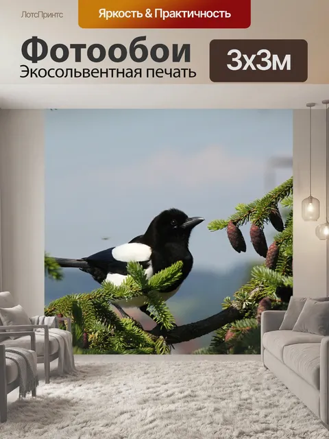 Фотообои Сорока