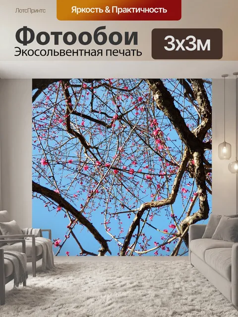 Фотообои Цветущая слива