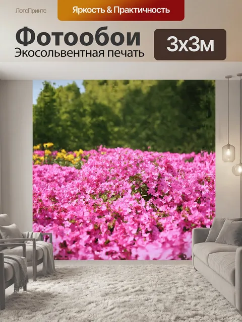 Фотообои розовый флокс в саду