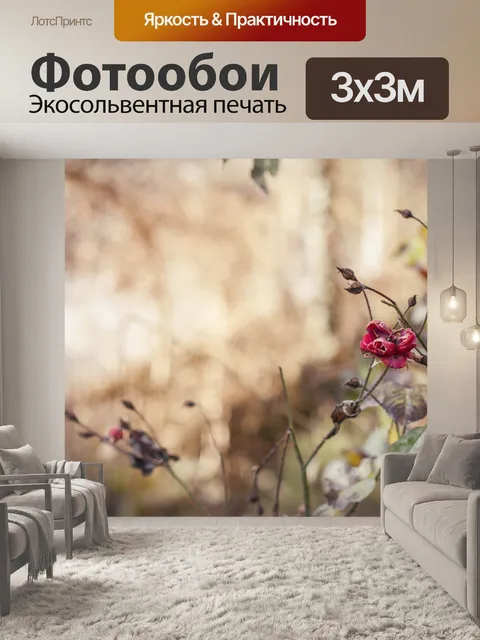 Фотообои Розы