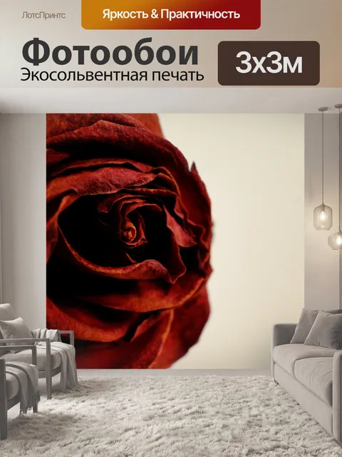 Фотообои Роза