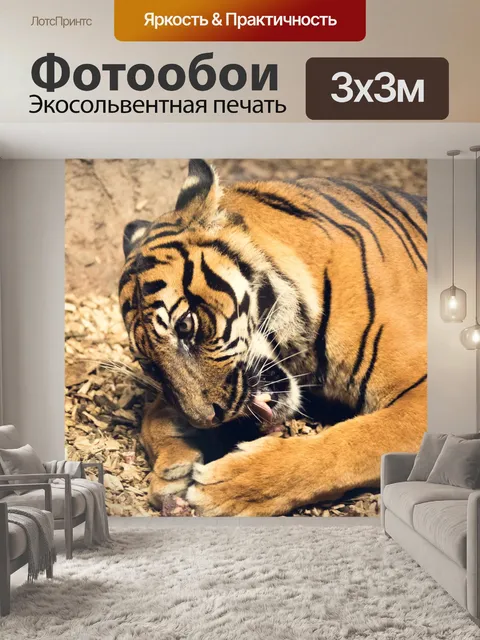 Фотообои Еда тигра
