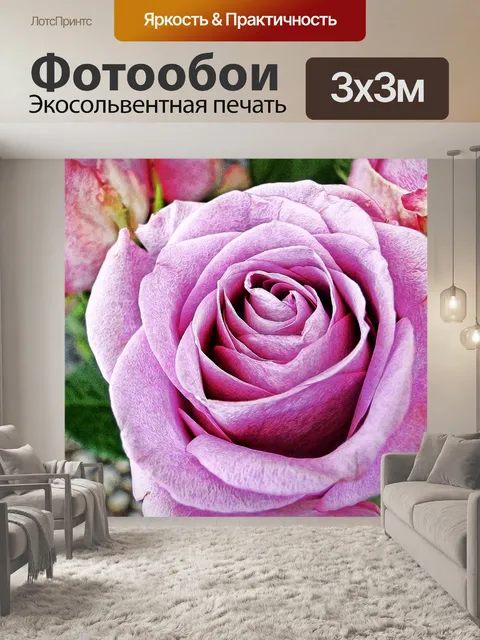 Фотообои Розовый сиреневый