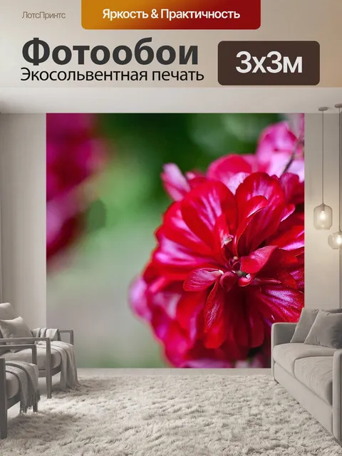 Фотообои Цветок