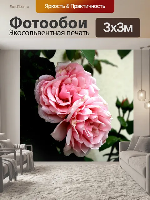 Фотообои Розы