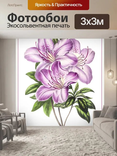 Фотообои Цветок лилии розовый винтаж