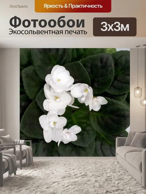 Фотообои деньги завод с белым цветком