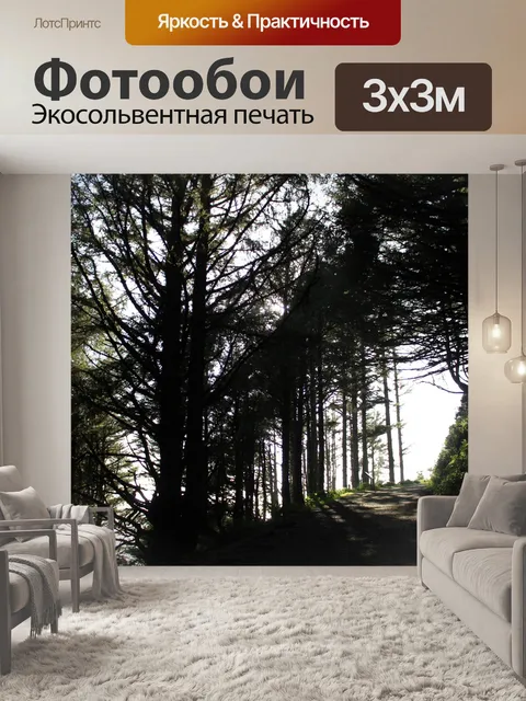 Фотообои Восхождение на свет