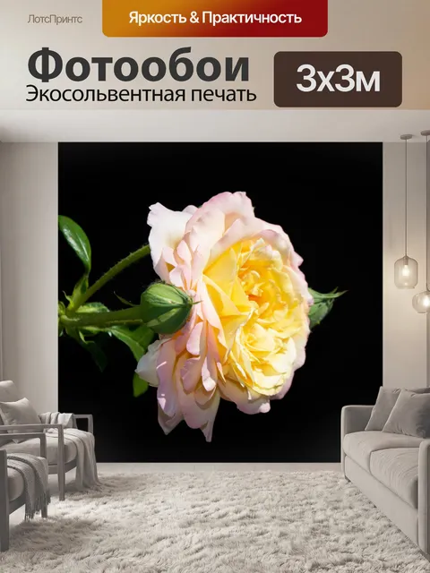 Фотообои Цветы, розы, бутоны, сад