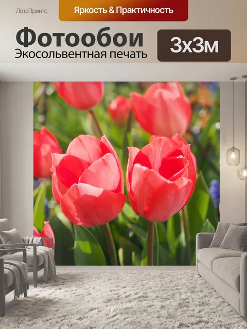 Фотообои Тюльпан