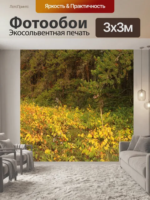 Фотообои Осень желтые листья Деревья