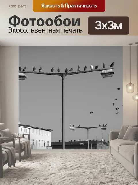 Фотообои Голуби