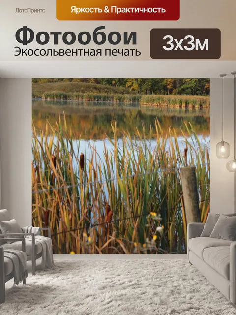 Фотообои Озеро с Рогозом осенью