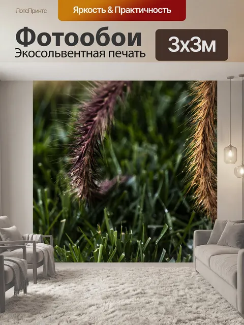 Фотообои Фонтанная трава влажная