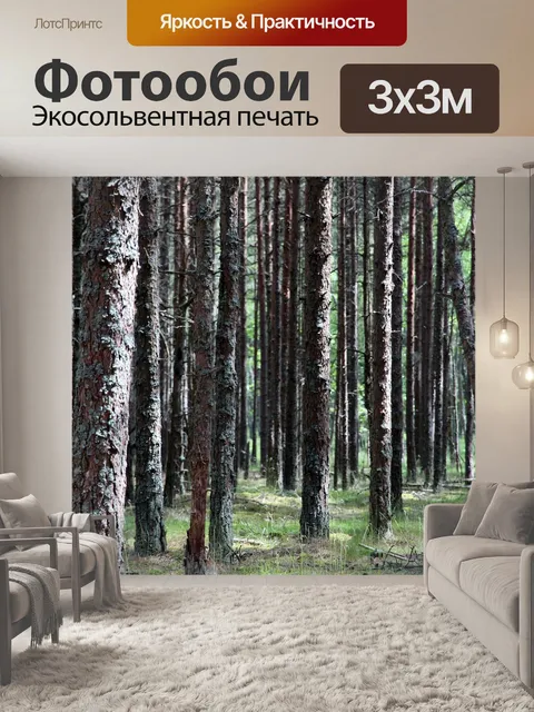 Фотообои Лес