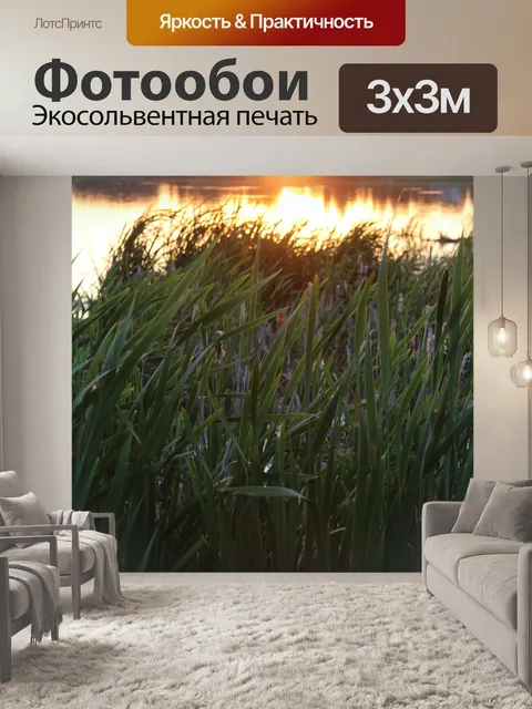 Фотообои Кэттейл у озера