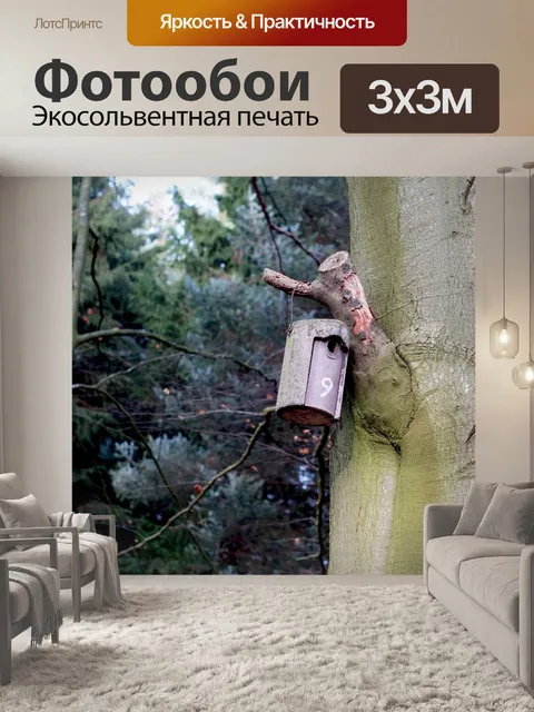 Фотообои Скворечник