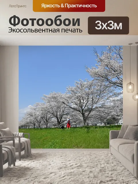 Фотообои Ряд деревьев сакуры
