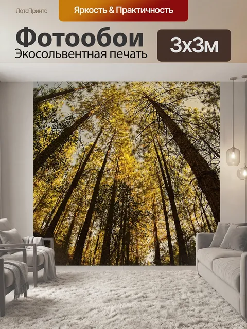 Фотообои Лес