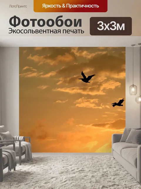 Фотообои Пеликан Полет над рекой