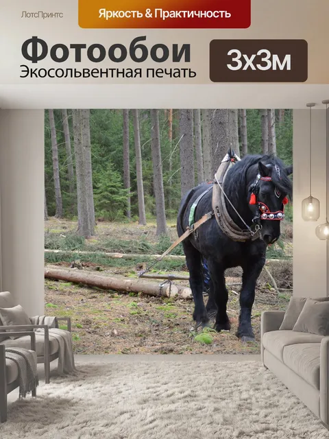 Фотообои Лошадь