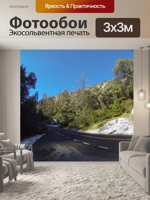 Фотообои Шоссе через лес