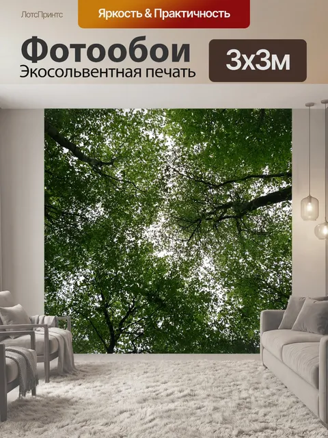 Фотообои Деревья