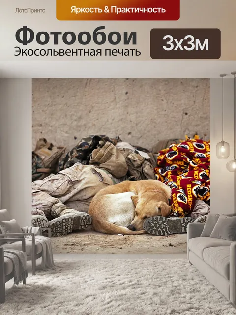 Фотообои Солдаты Nap с их Canine