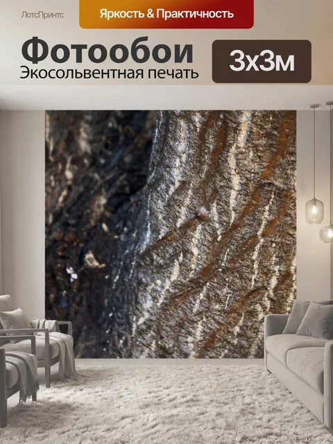 Фотообои белые отметины на коре дерева