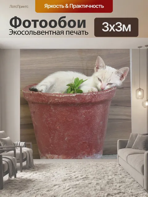 Фотообои Котенок