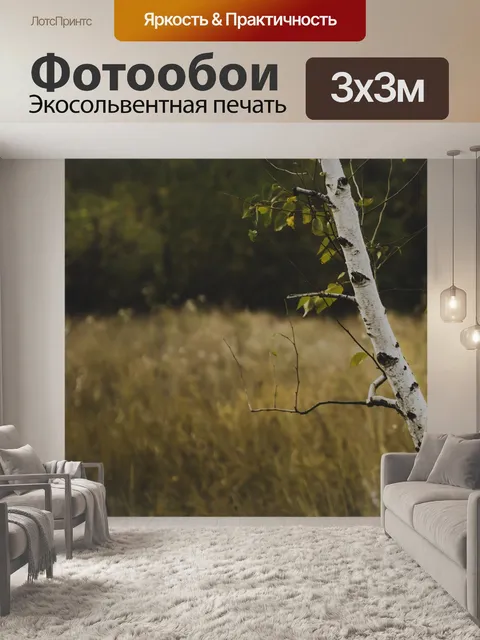 Фотообои Береза