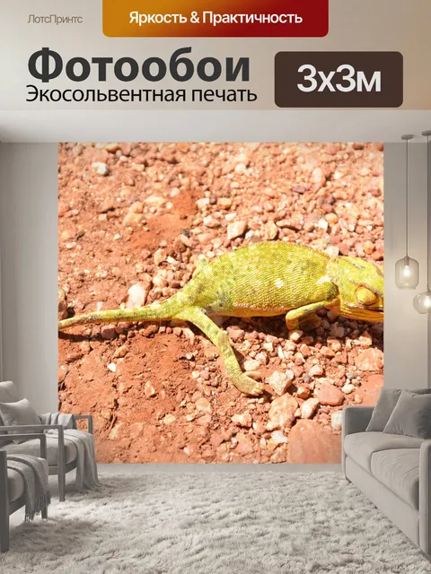 Фотообои Хамелеон