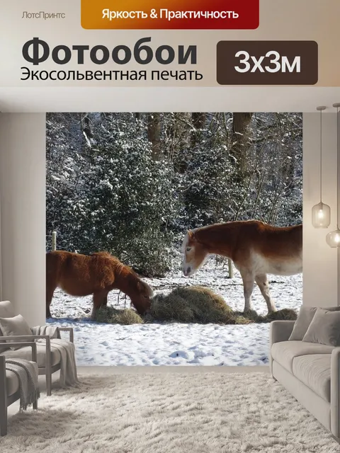 Фотообои Лошади