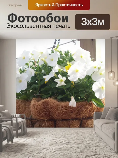 Фотообои Подвесные корзины с белыми цветами