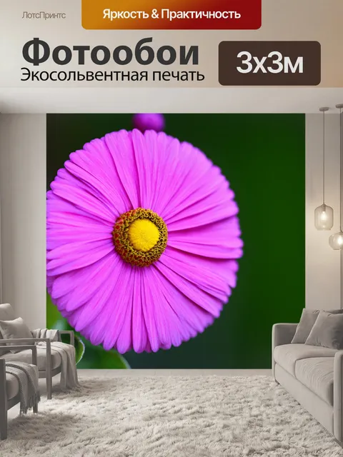 Фотообои крупный план цветка, выполненный в технике макрофотографии, где каждая деталь цветка заполняет зрителя…