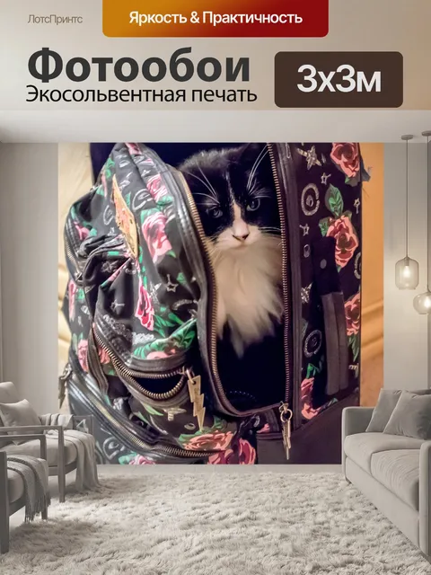 Фотообои Кошка