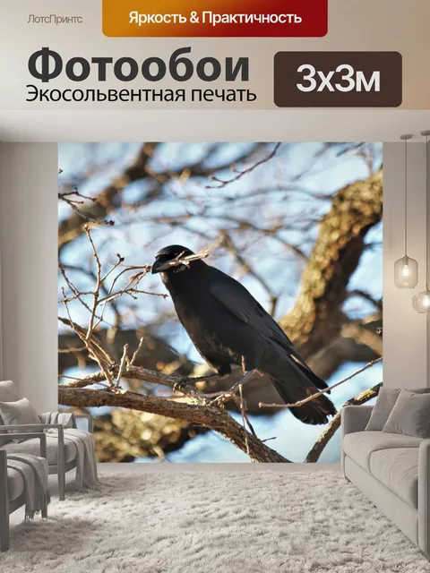 Фотообои Ворона с гнездящимся материалом