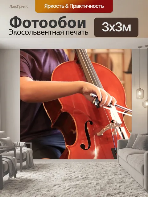 Фотообои Музыкант