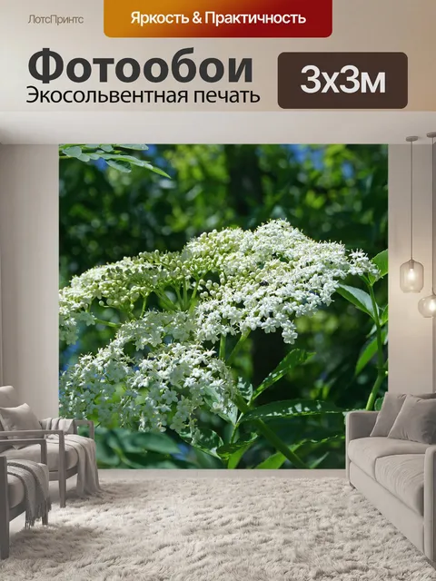 Фотообои брызги белых цветов