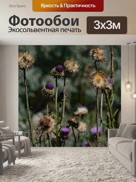 Фотообои Артишок чертополох крупным планом