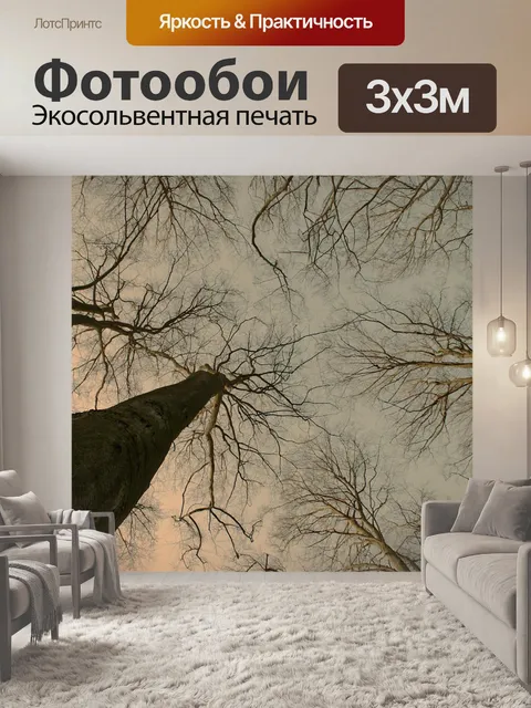 Фотообои Лес